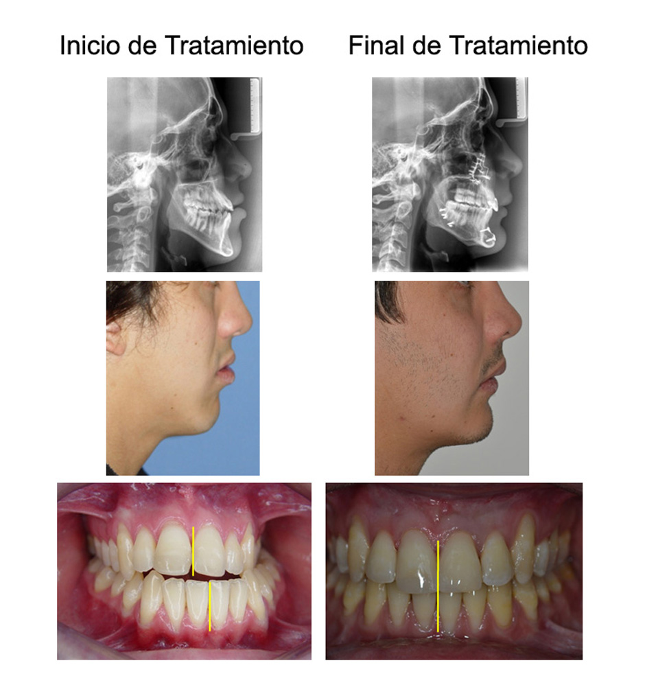 Especialista en Ortodoncia